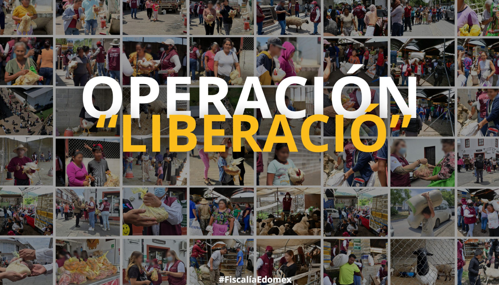 Noticia